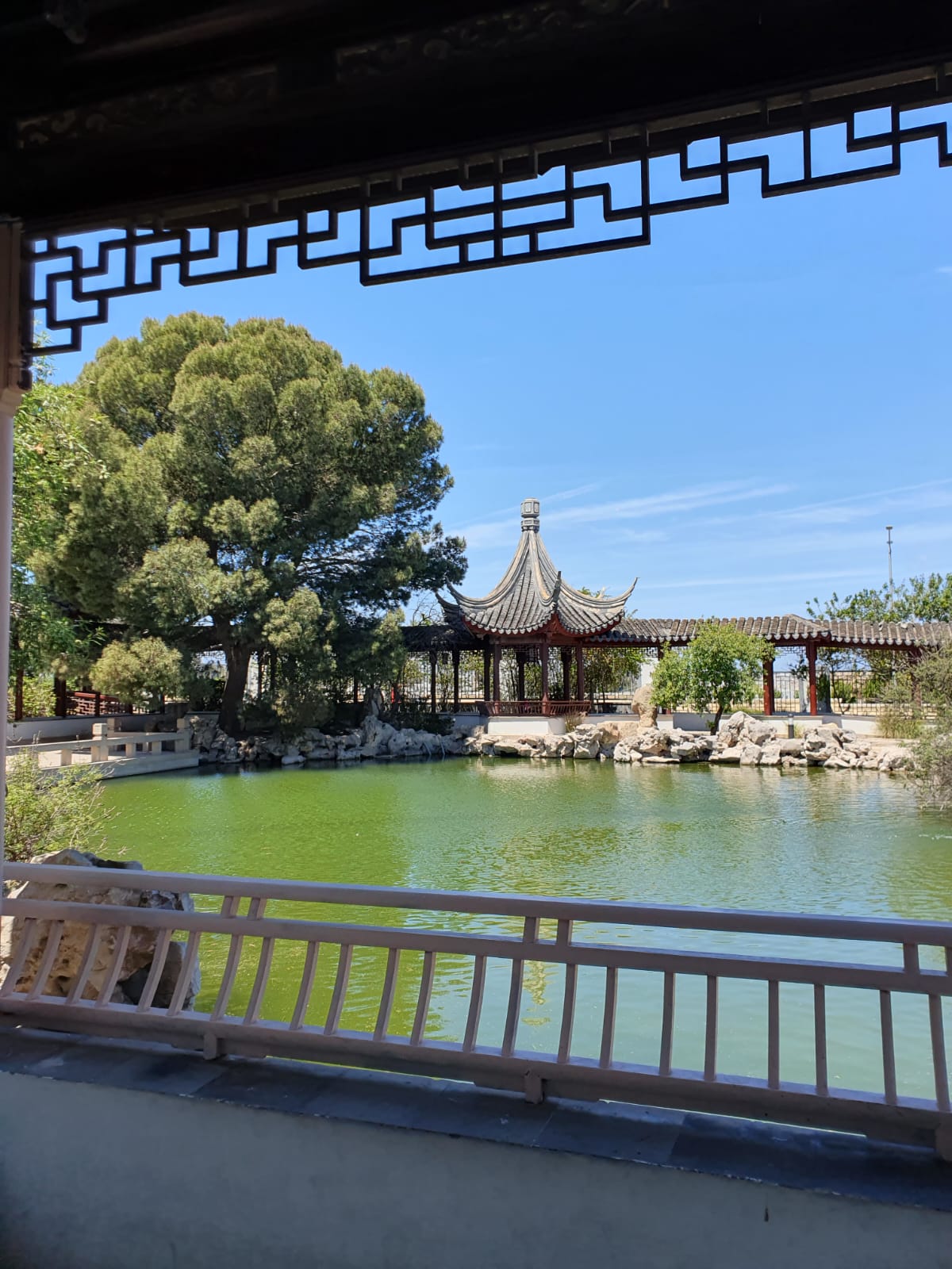 Pavilion and pond at the Chinese Garden of Serenity